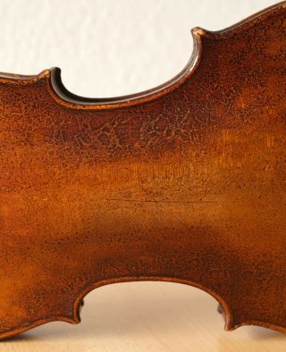 old violin 4/4 geige viola cello fiddle label NICOLAUS AMATUS 9
