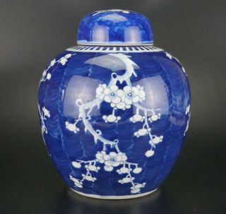 Large Chinese Blue And White Prunes Blossom Ginger Jar And Lid Rare Mk 19/20th C