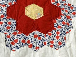 Cottage Sweet Vintage Grandmothers Flower Garden QUILT Feedsacks 6