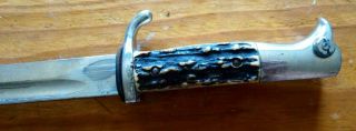 Early German Bayonnet Horn Handle Pre WWI Paul Seilheimer Solingen Germany 4