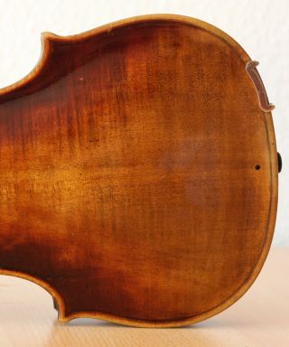 old violin 4/4 geige viola cello fiddle label CARLO GIUSEPPE TESTORE 10