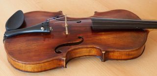 old violin 4/4 geige viola cello fiddle label CARLO GIUSEPPE TESTORE 11
