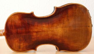 Old Violin 4/4 Geige Viola Cello Fiddle Label Carlo Giuseppe Testore