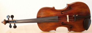 old violin 4/4 geige viola cello fiddle label CARLO GIUSEPPE TESTORE 2