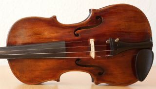 old violin 4/4 geige viola cello fiddle label CARLO GIUSEPPE TESTORE 3