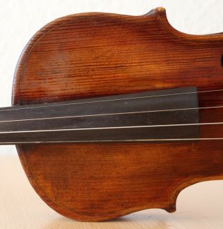 old violin 4/4 geige viola cello fiddle label CARLO GIUSEPPE TESTORE 4