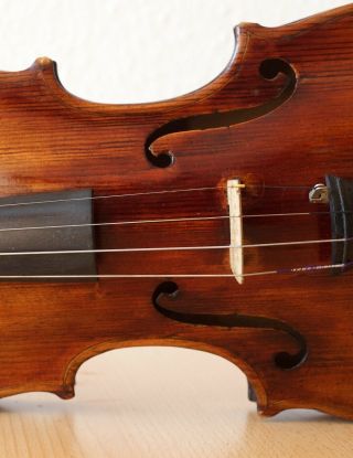 old violin 4/4 geige viola cello fiddle label CARLO GIUSEPPE TESTORE 5