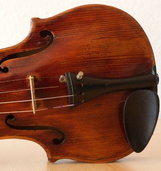 old violin 4/4 geige viola cello fiddle label CARLO GIUSEPPE TESTORE 6