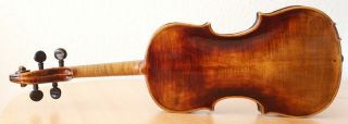 old violin 4/4 geige viola cello fiddle label CARLO GIUSEPPE TESTORE 7