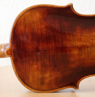 old violin 4/4 geige viola cello fiddle label CARLO GIUSEPPE TESTORE 8
