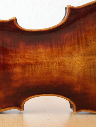 old violin 4/4 geige viola cello fiddle label CARLO GIUSEPPE TESTORE 9