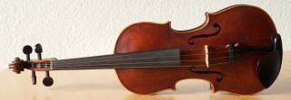 old small violin geige viola cello fiddle label SCHRÖTTER 2