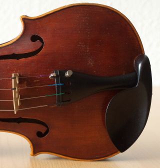 old small violin geige viola cello fiddle label SCHRÖTTER 6