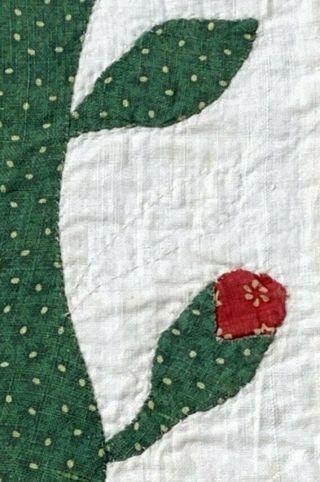 63 Applique Hearts EARLY Lily Quilt c 1850s turkey RED Antique Vining Buds 3