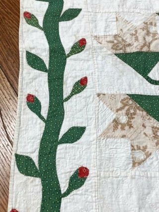 63 Applique Hearts EARLY Lily Quilt c 1850s turkey RED Antique Vining Buds 4