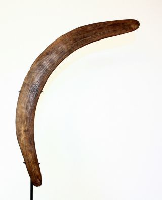 Aboriginal - 19thc Qld Hunting Boomerang.