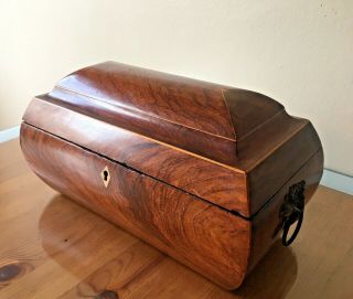 Large Antique Regency Tea Caddy,  Circa 1820,  Wood,  Hand - Made,  RARE Curved Top 2