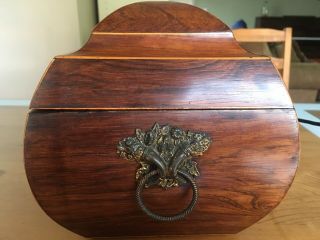 Large Antique Regency Tea Caddy,  Circa 1820,  Wood,  Hand - Made,  RARE Curved Top 6