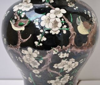 19TH CENTURY QING DYNASTY ANTIQUE CHINESE FAMILLE NOIRE PORCELAIN VASE LAMP 18 