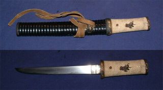 Sa730 Japanese Samurai Sword: Kunitsugu Tanto In Koshirae