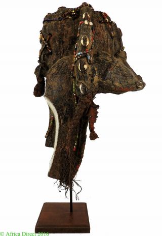 Fang Ngil Mask Gabon Custom Stand African Art WAS $490.  00 4