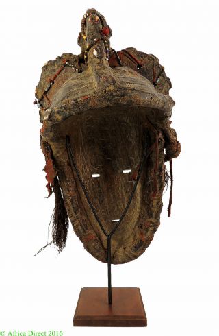 Fang Ngil Mask Gabon Custom Stand African Art WAS $490.  00 5