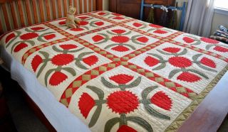 Antique Hand Stitched Folky Tulip Applique Quilt 3