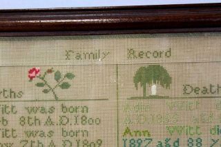 A FINE DATED 19TH C NEEDLEWORK FAMILY RECORD SAMPLER FAMILY OF ODIN WITT 1841 4