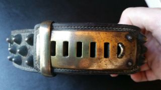 Antique Dog Collar Brass Leather 1800s Bullet Studs 19th Century French Old Rare 7