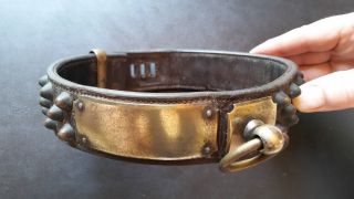 Antique Dog Collar Brass Leather 1800s Bullet Studs 19th Century French Old Rare 8