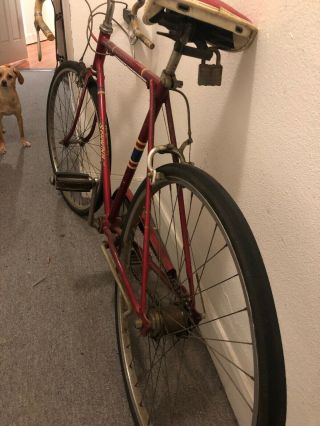 Vintage Schwinn Bike 6