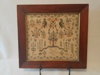 19th C 1843 English Or American Needlepoint Embroidery Sampler Mary Ann Watson