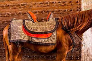 Vintage Antique Islamic Ottoman Painted Horse Saddle Pferde Sattel Gold,  Silver