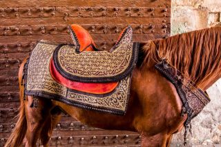 VINTAGE ANTIQUE ISLAMIC OTTOMAN PAINTED HORSE SADDLE PFERDE SATTEL GOLD,  SILVER 4