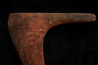 Exceptional Large Aboriginal No 7 Hook Boomerang - Central Australia Early 20thc