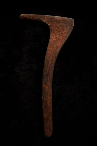 Exceptional Large Aboriginal No 7 Hook Boomerang - Central Australia Early 20thC 6