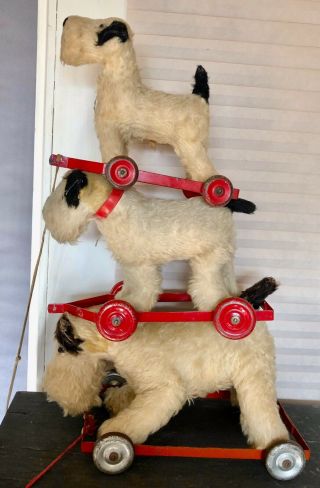 3 Antique Chiltern English Mohair Terrier Dog Pull Toys,  Orig.  Leash 3