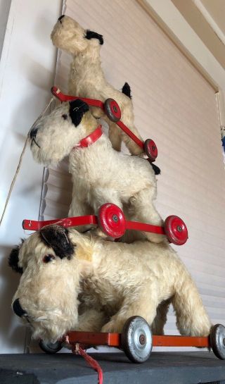 3 Antique Chiltern English Mohair Terrier Dog Pull Toys,  Orig.  Leash 4