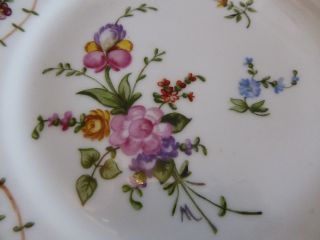 French Set 12 Plates,  2 Dishes - Hand Decorated Flowers - Can Be Divided