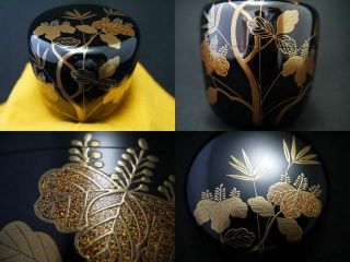 Japanese Traditional Lacquer Wooden Tea Caddy Saga Makie O - Natsume (419)