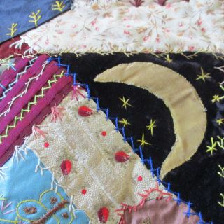 1880 ' s Silk Velvet Crazy Quilt 20 Blocks Embroidery Feather Stitch Pictorials 2