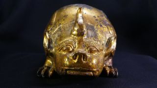 2,  000 Year - Old Chinese Gilt - Bronze Pig Dragon Floor Mat Weight Year of the Pig 11