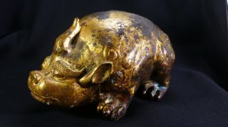 2,  000 Year - Old Chinese Gilt - Bronze Pig Dragon Floor Mat Weight Year Of The Pig