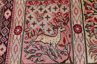 Animal Bird Pictorial Persian Oriental Area Rug Hand - Knotted Garden Design 10x13