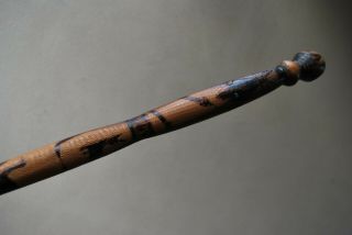 South Australian Aboriginal Carved Walking Stick Northern Flinders Ranges Old
