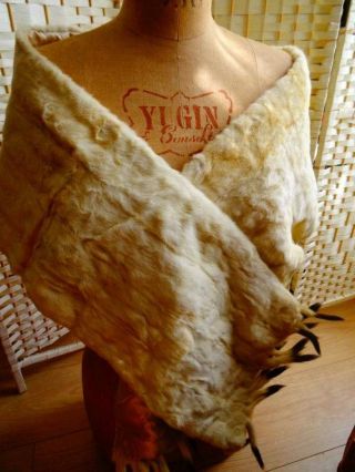 A Wonderful Antique Edwardian Ermine Fur Stole C.  1905