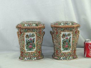 19th C Chinese Porcelain Canton Famille Rose Squirrels Bough Pots