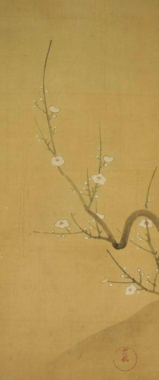掛軸1967 Japanese Hanging Scroll : Ogata Korin " Ume Tree " @e115