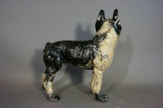 RARE Antique LEFT FACING Old HUBLEY Dog CAST IRON BOSTON TERRIER Statue DOORSTOP 5