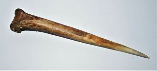 Papua Guinea Ritual Bone Dagger